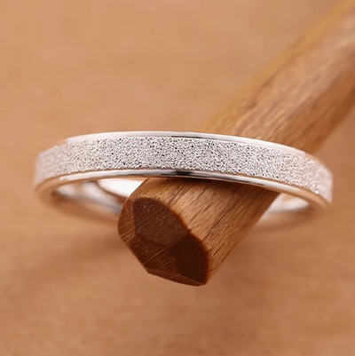 Titanring Silber